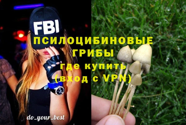 метадон Ветлуга
