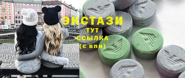 молекула духа Ельня