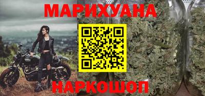 сатива Будённовск
