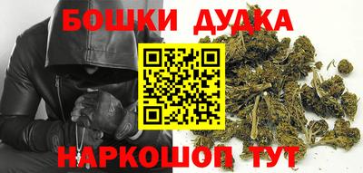 сатива Будённовск