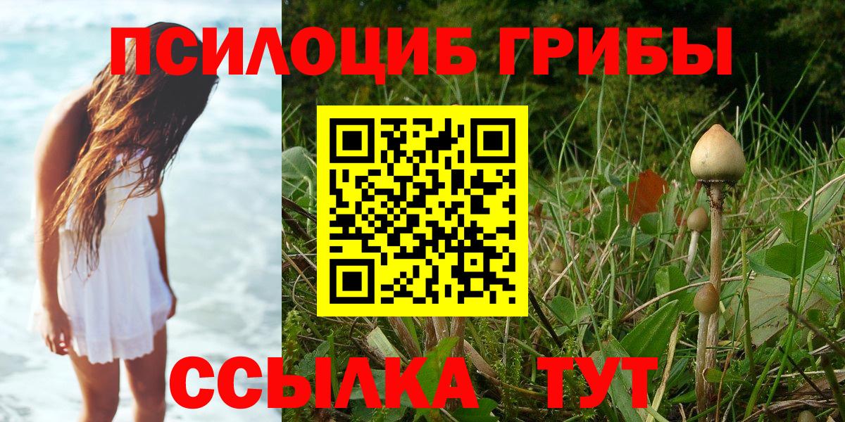 Псилоцибиновые грибы MAGIC MUSHROOMS Грязи