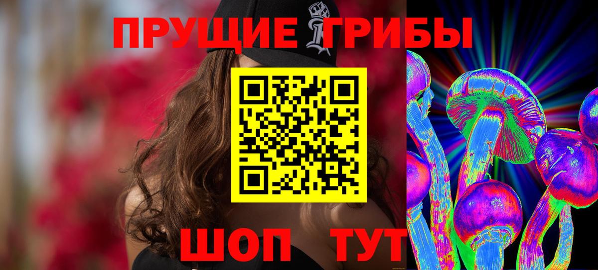 Галлюциногенные грибы Psilocybe  Грязи 